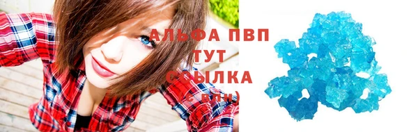 крисы Зерноград