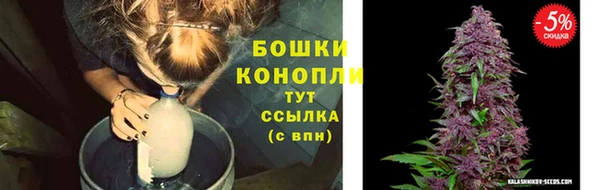 стафф Зеленодольск