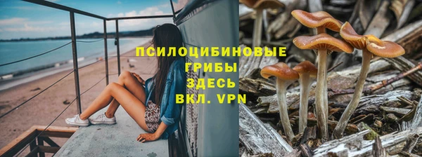 тгк Зеленокумск