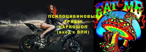 крисы Зерноград